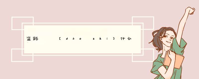 盗跖   [dào zhí]什么意思？近义词和反义词是什么？英文翻译是什么？